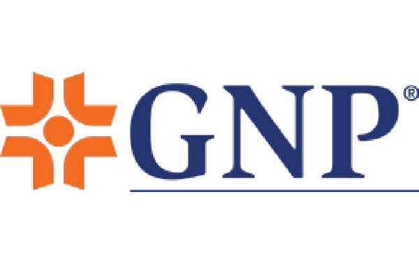 GNP